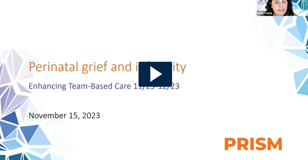 Screenshot of Perinatal Grief and Infertility