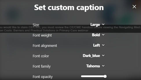 Screenshot of Custom Captions Menu 