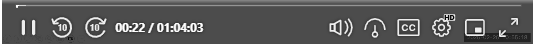 Screenshot of Video Player Control Bar