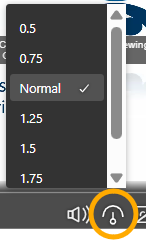 Screenshot of Playback Speed Menu