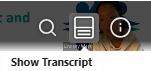 Screenshot of the Transcript icon and search toolbar.