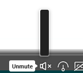 Screenshot of volume muted.
